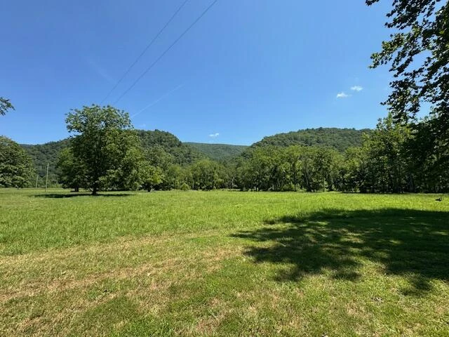 2000 Big Back Creek Rd - Photo 34