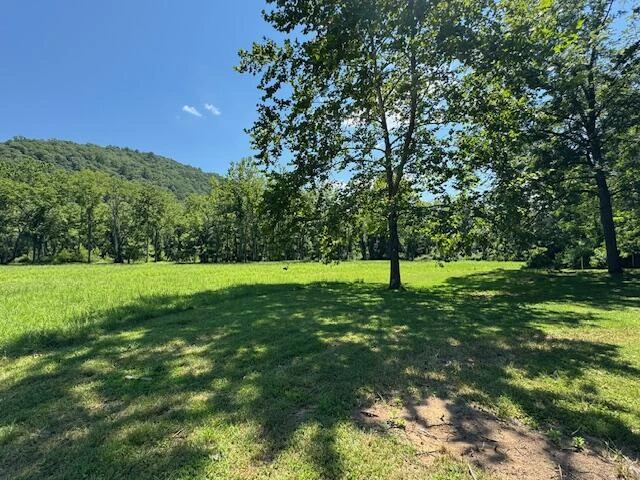 2000 Big Back Creek Rd - Photo 35