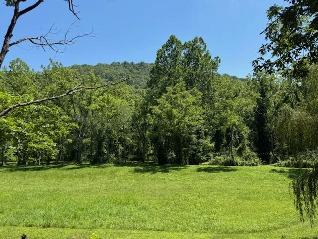 2000 Big Back Creek Rd - Photo 36