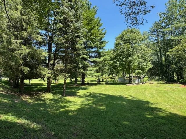 2000 Big Back Creek Rd - Photo 37