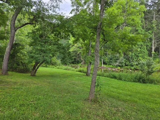 2000 Big Back Creek Rd - Photo 39