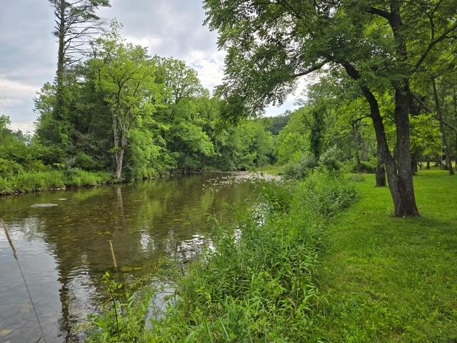 2000 Big Back Creek Rd - Photo 4