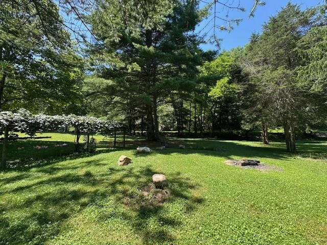 2000 Big Back Creek Rd - Photo 43