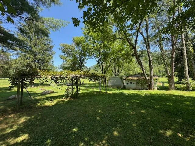 2000 Big Back Creek Rd - Photo 44