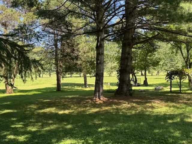 2000 Big Back Creek Rd - Photo 45