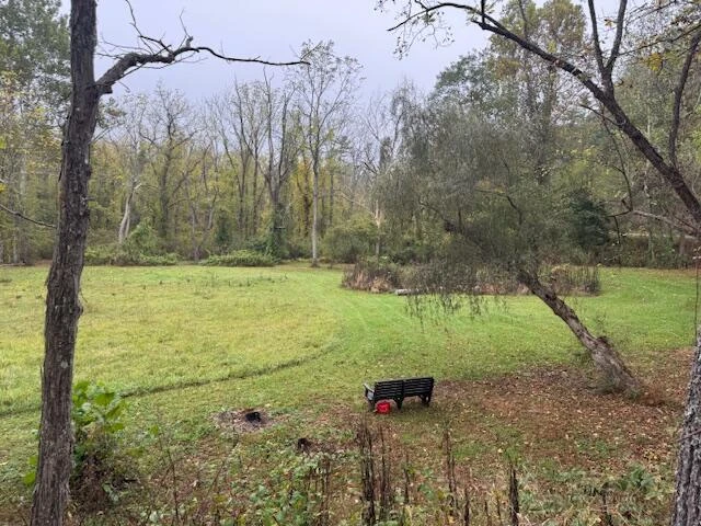 2000 Big Back Creek Rd - Photo 46