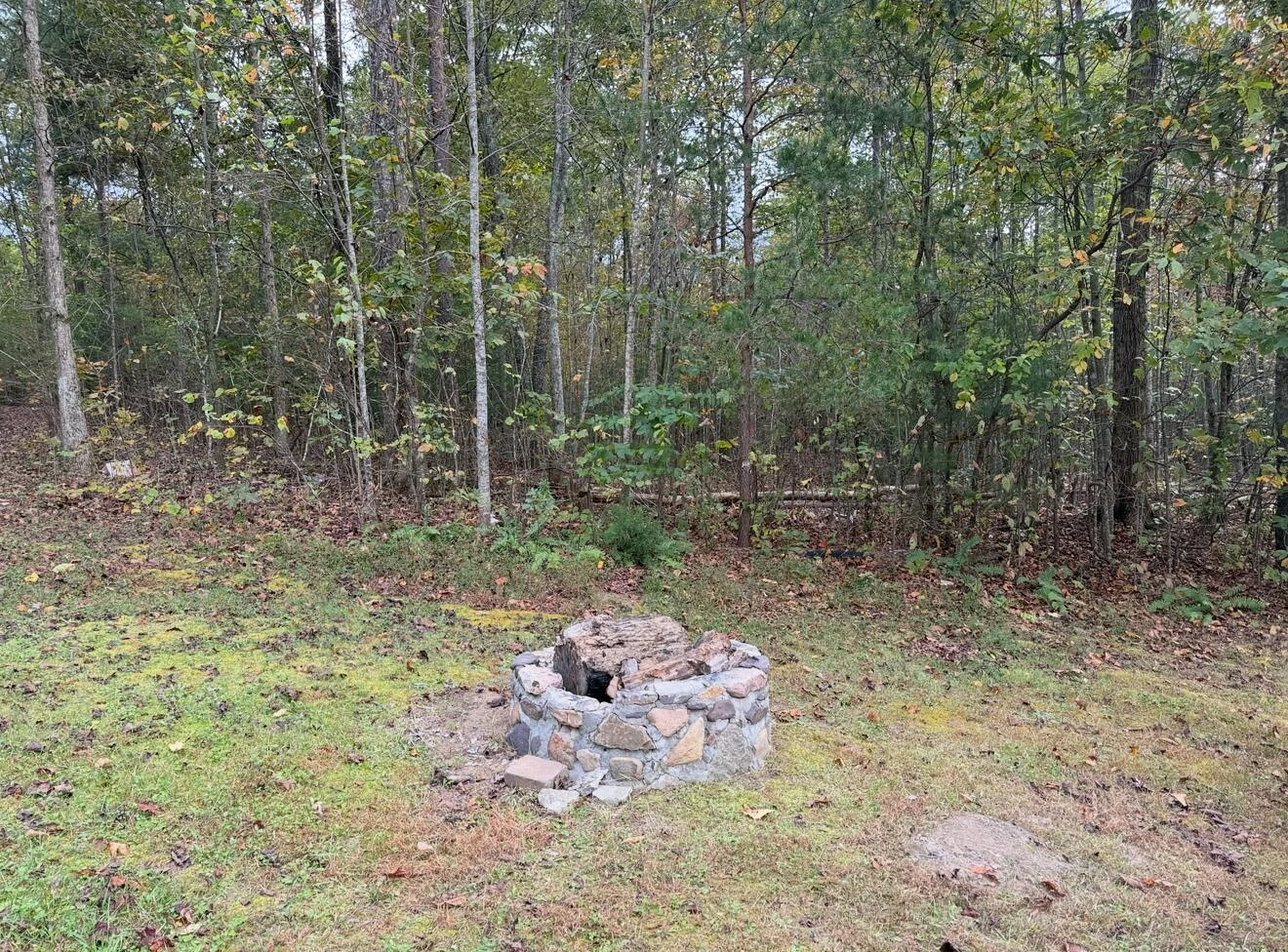 350 Hickory Hollow Rd - Photo 33