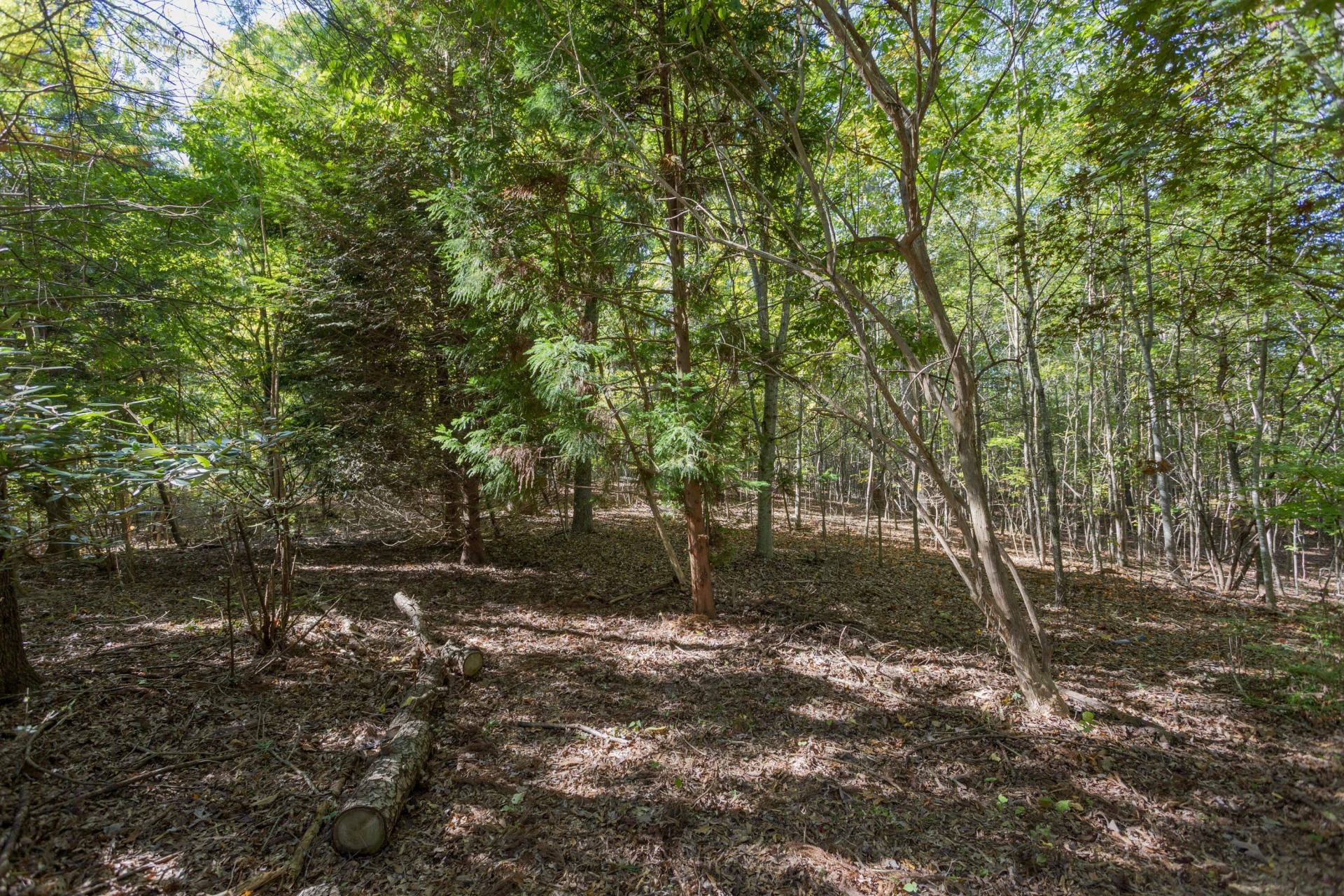220 East Ridge Dr - Photo 54