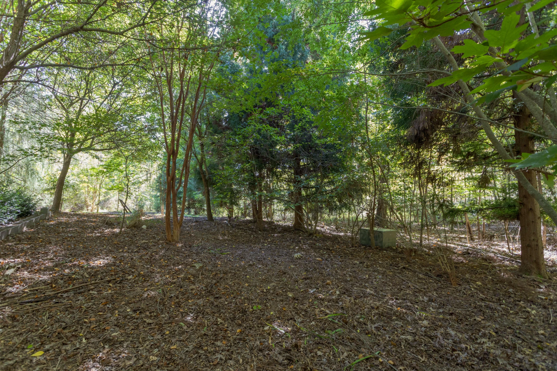 220 East Ridge Dr - Photo 55