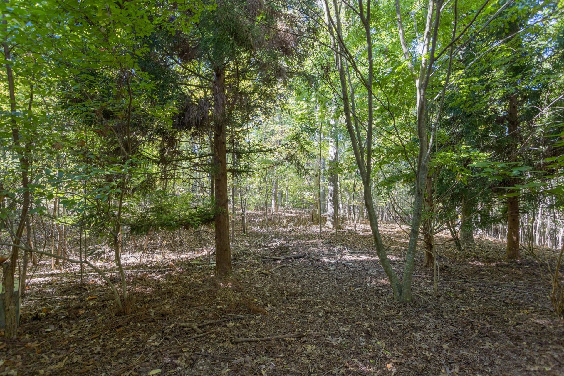 220 East Ridge Dr - Photo 56