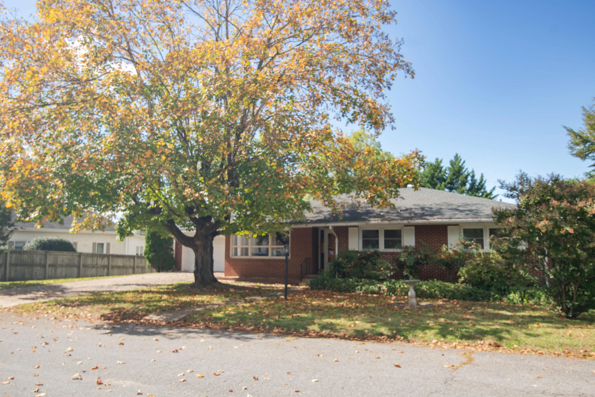 2113 Oak Ave - Photo 2
