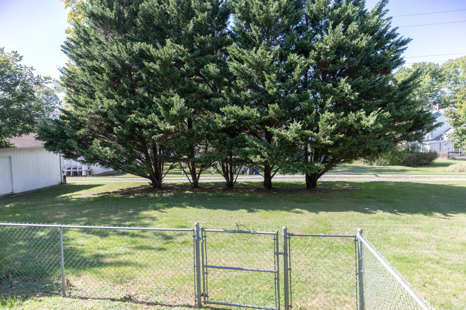 2113 Oak Ave - Photo 28
