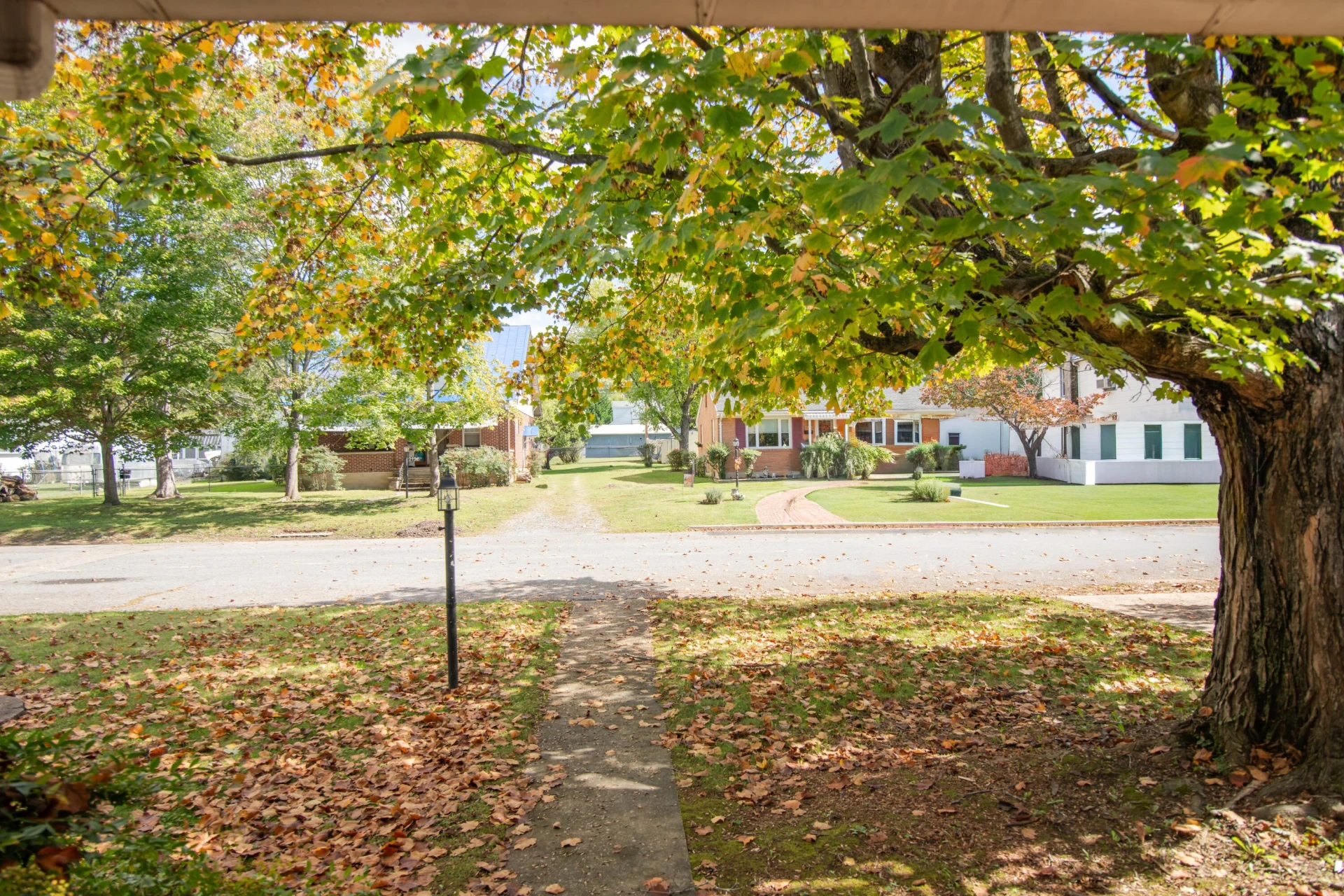 2113 Oak Ave - Photo 39