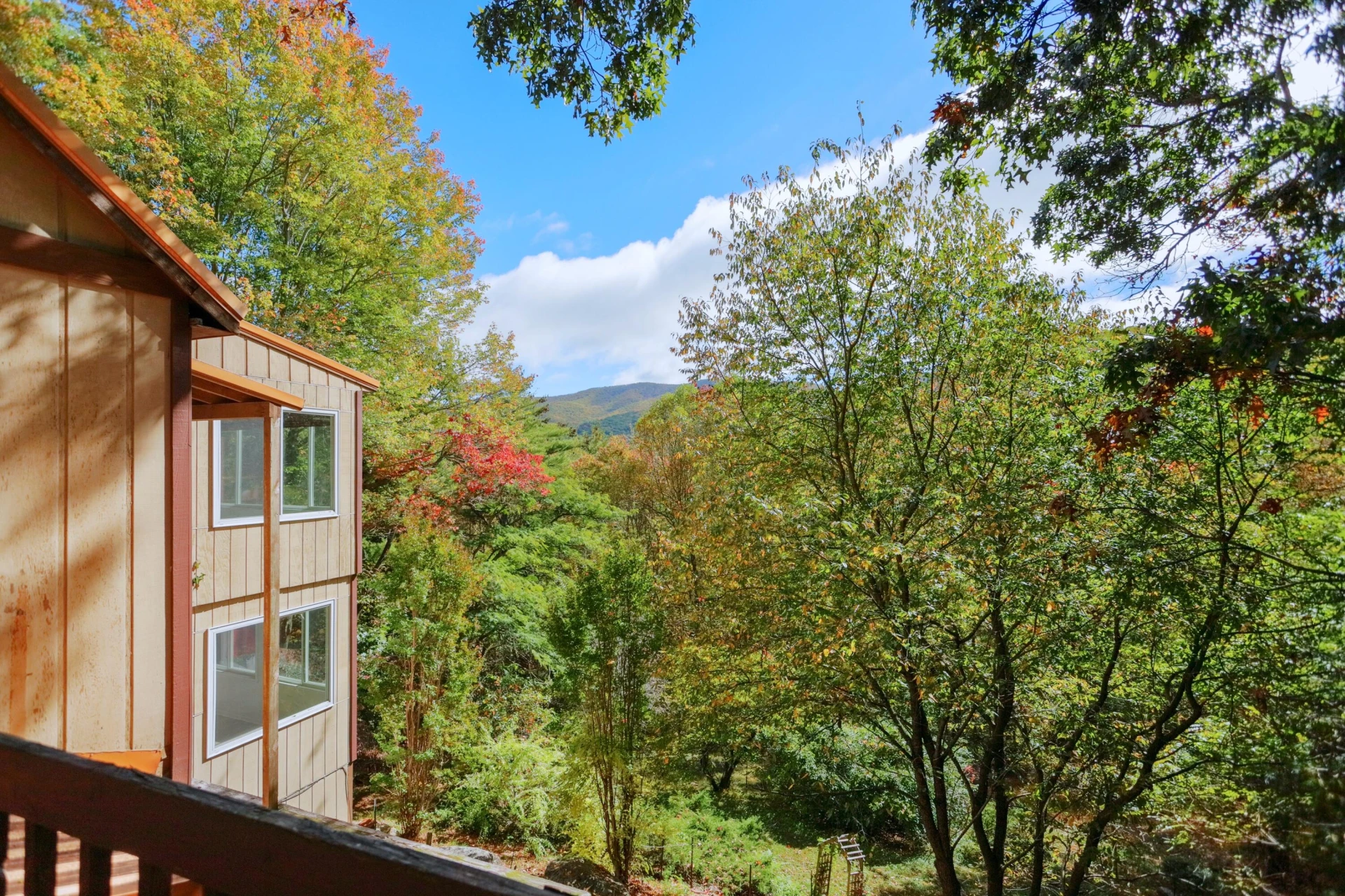263 Alto Rd - Photo 16