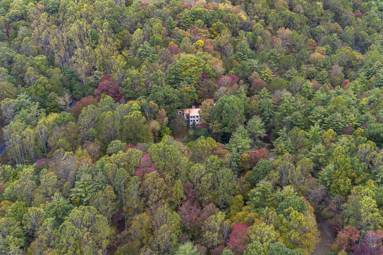 263 Alto Rd - Photo 2