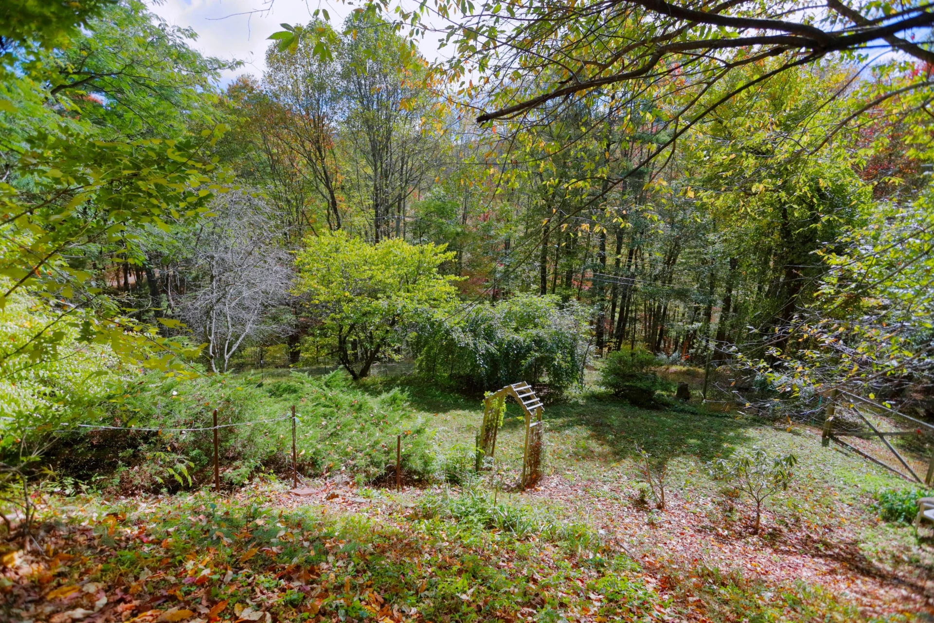 263 Alto Rd - Photo 40