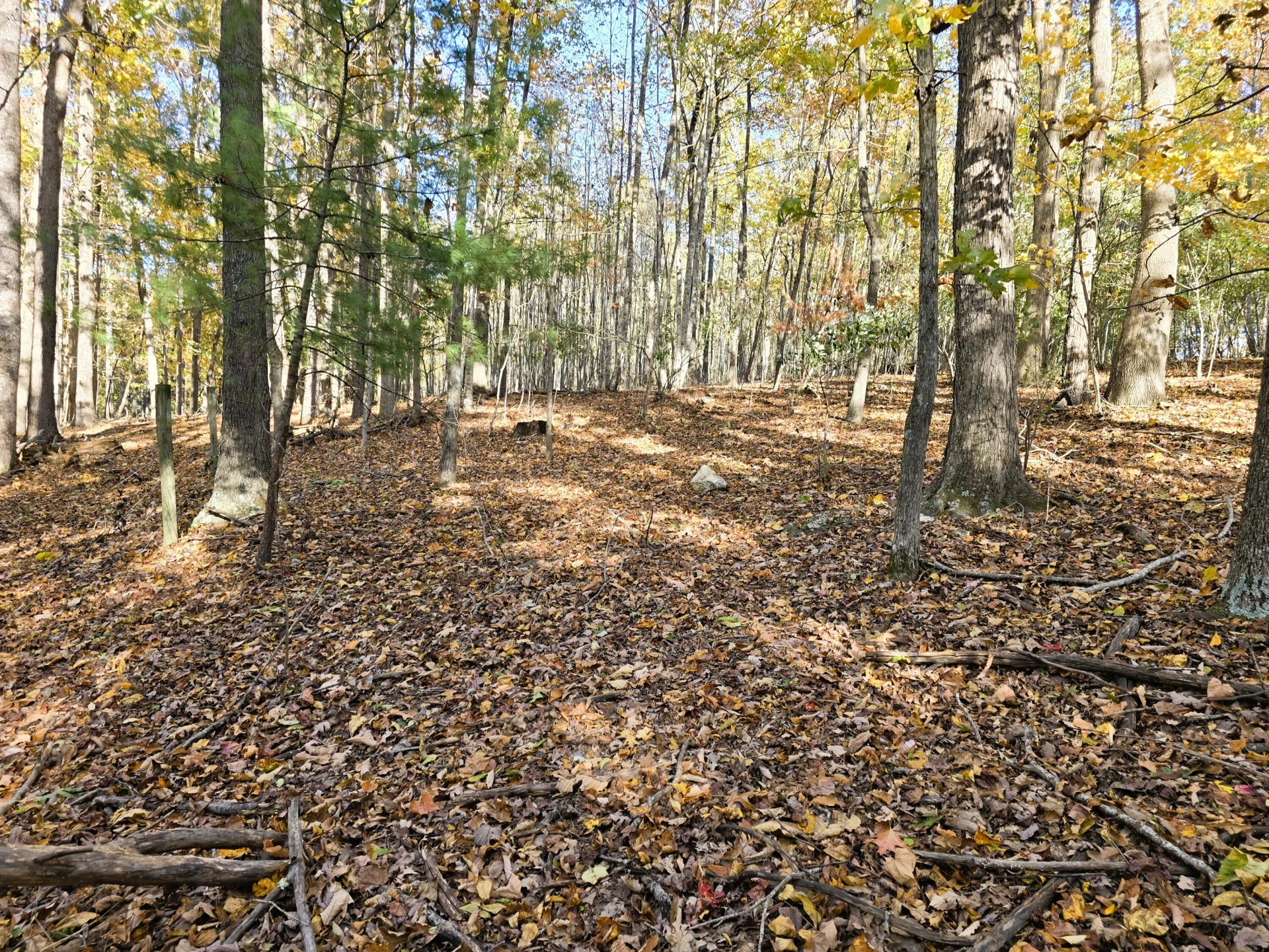 4acs Reid Rd - Photo 4