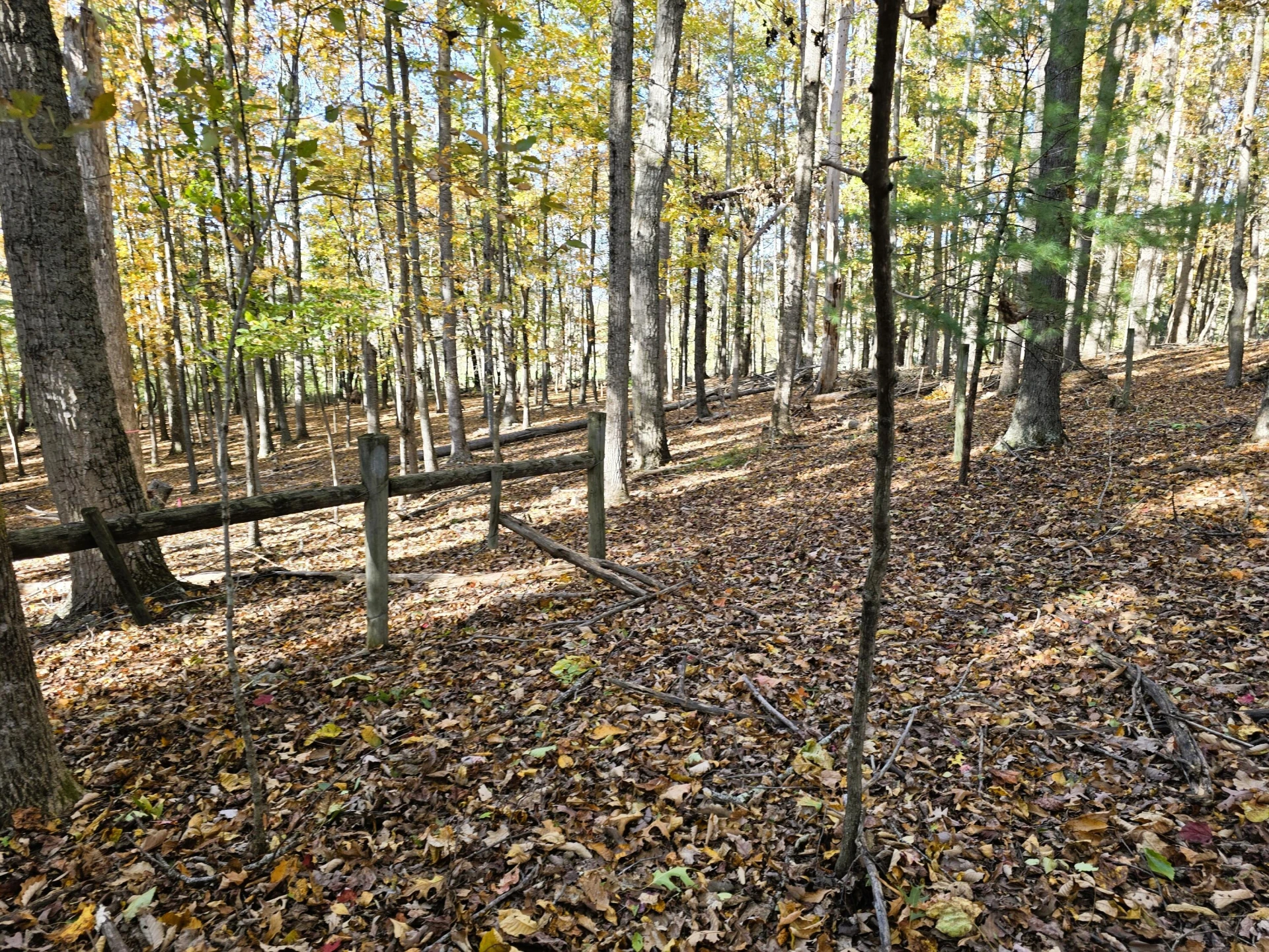 4acs Reid Rd - Photo 5