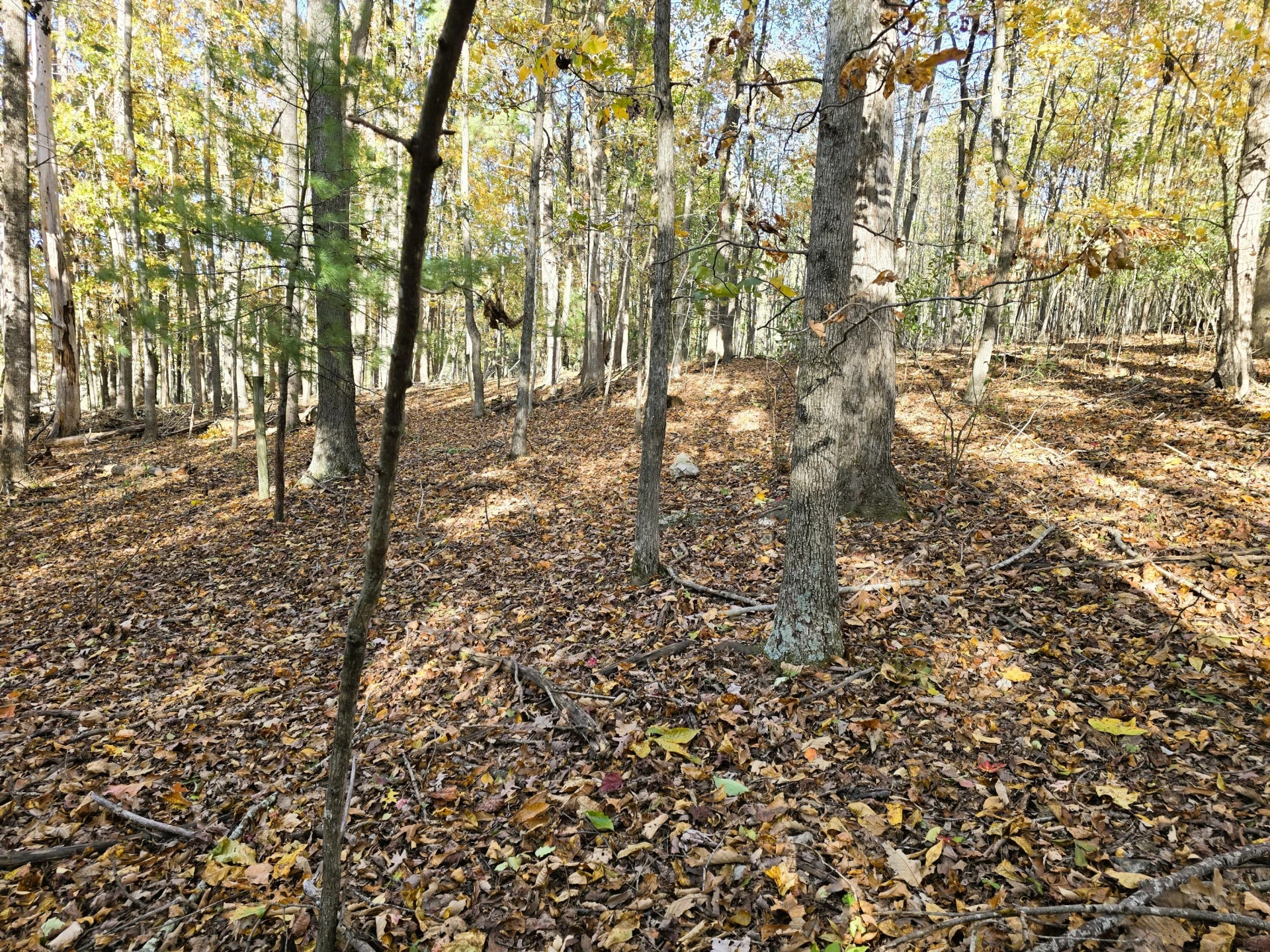 4acs Reid Rd - Photo 8