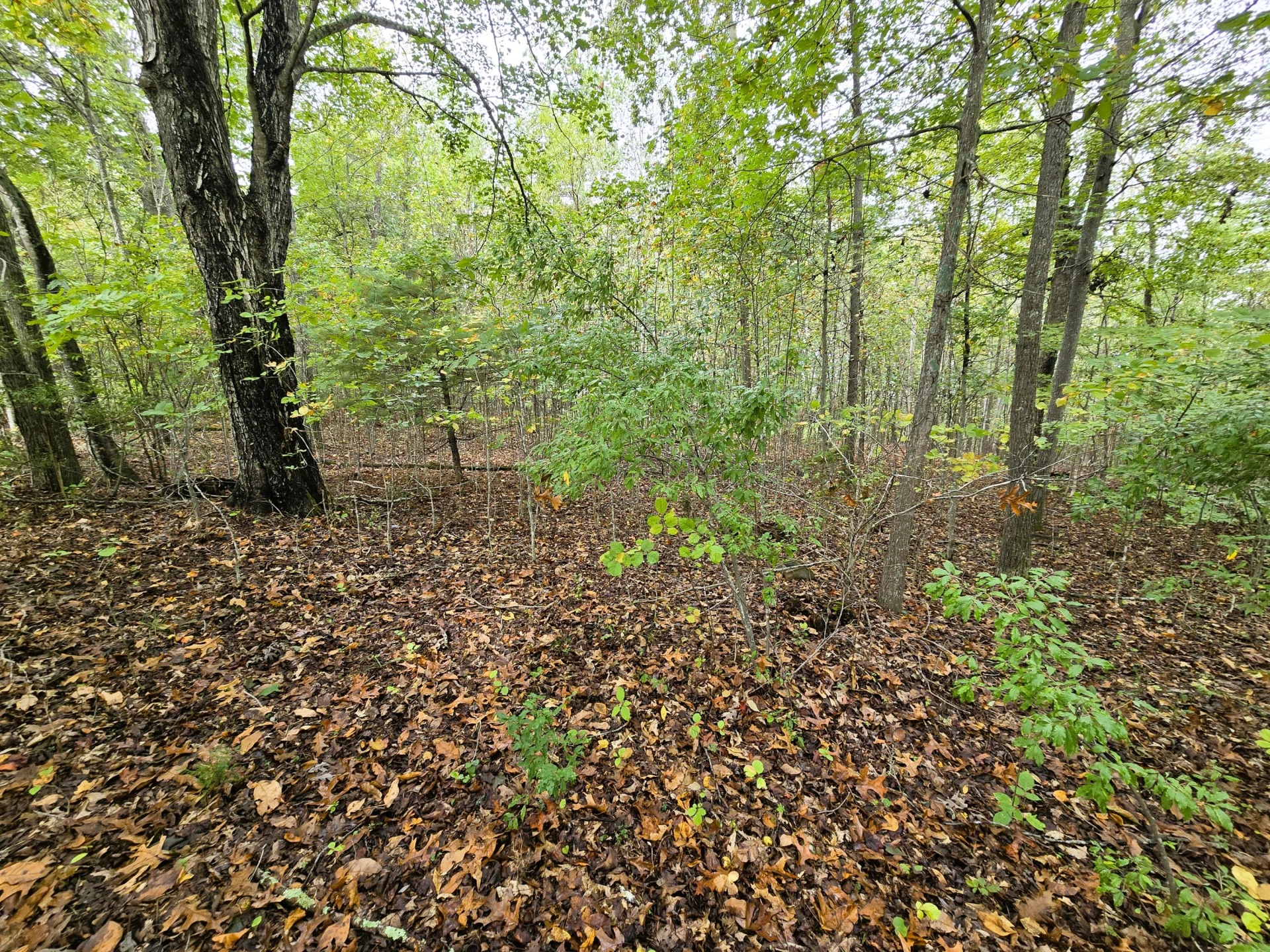 4acs Reid Rd - Photo 9