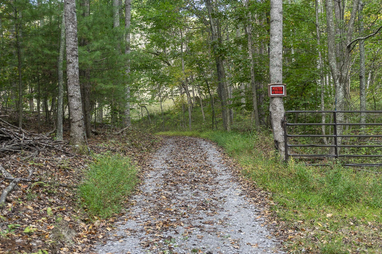 270 Trillium Trl - Photo 30