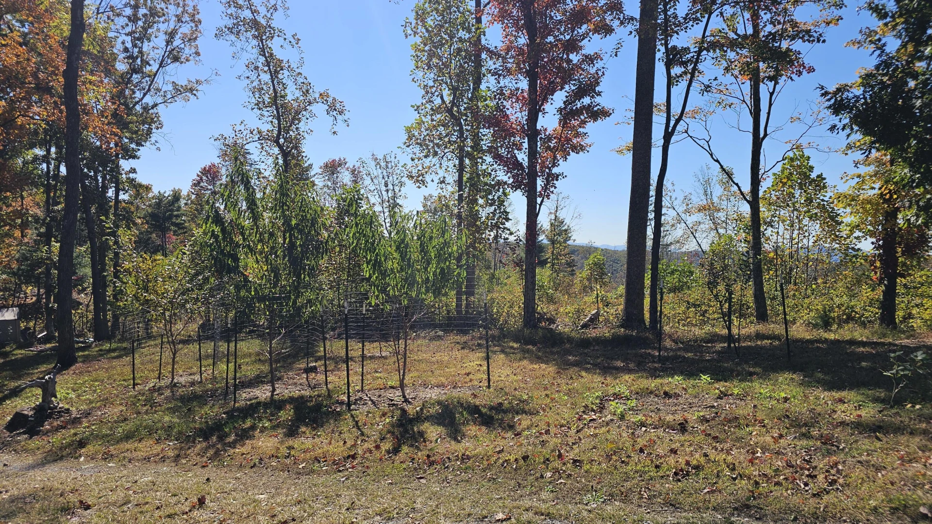 270 Trillium Trl - Photo 39