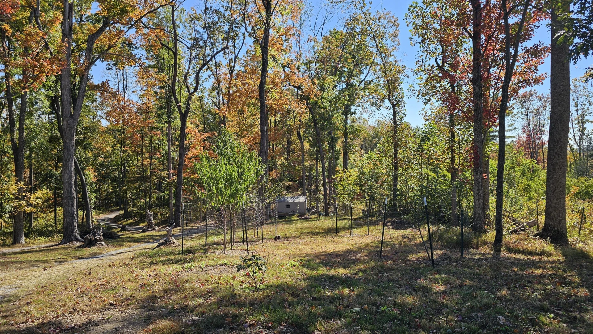 270 Trillium Trl - Photo 41