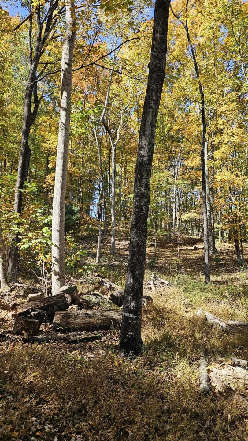 270 Trillium Trl - Photo 42