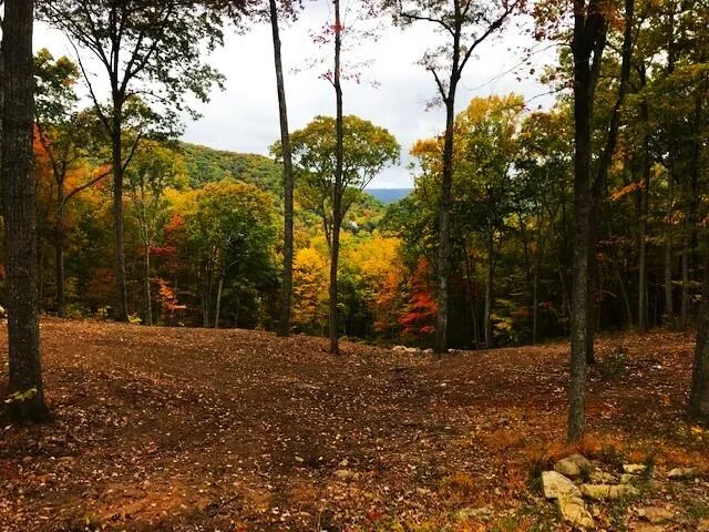 DR Lot #60 North Forest Trl, Hot Springs, VA, 24445