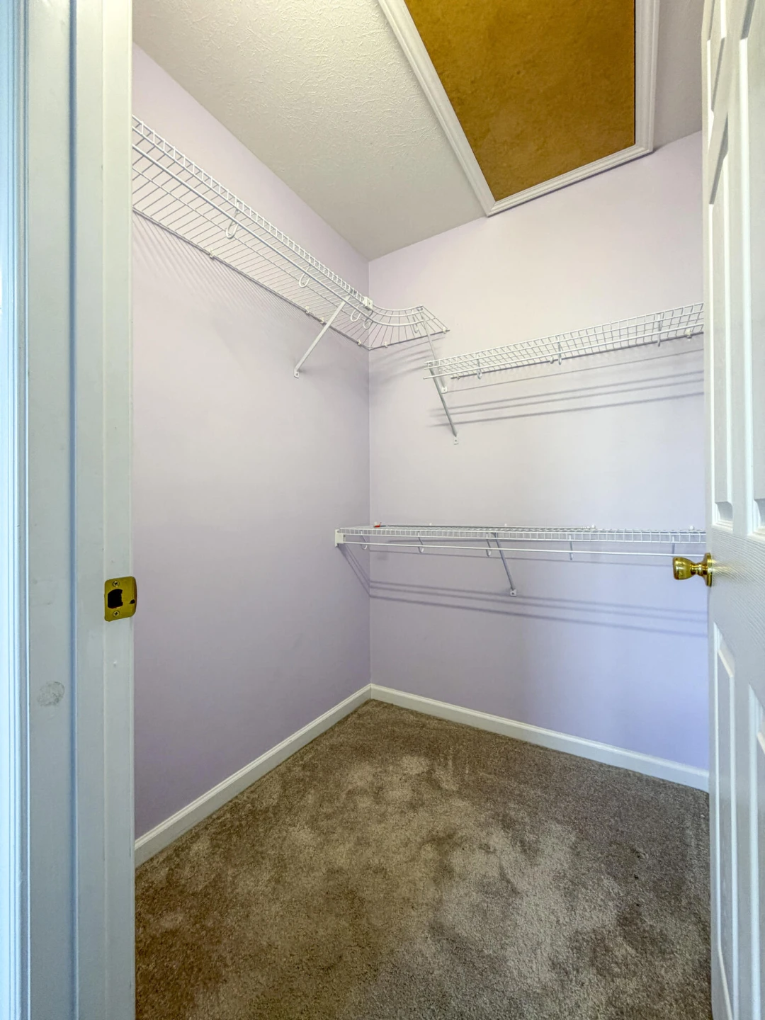 73 Thoroughbred Cir - Photo 19