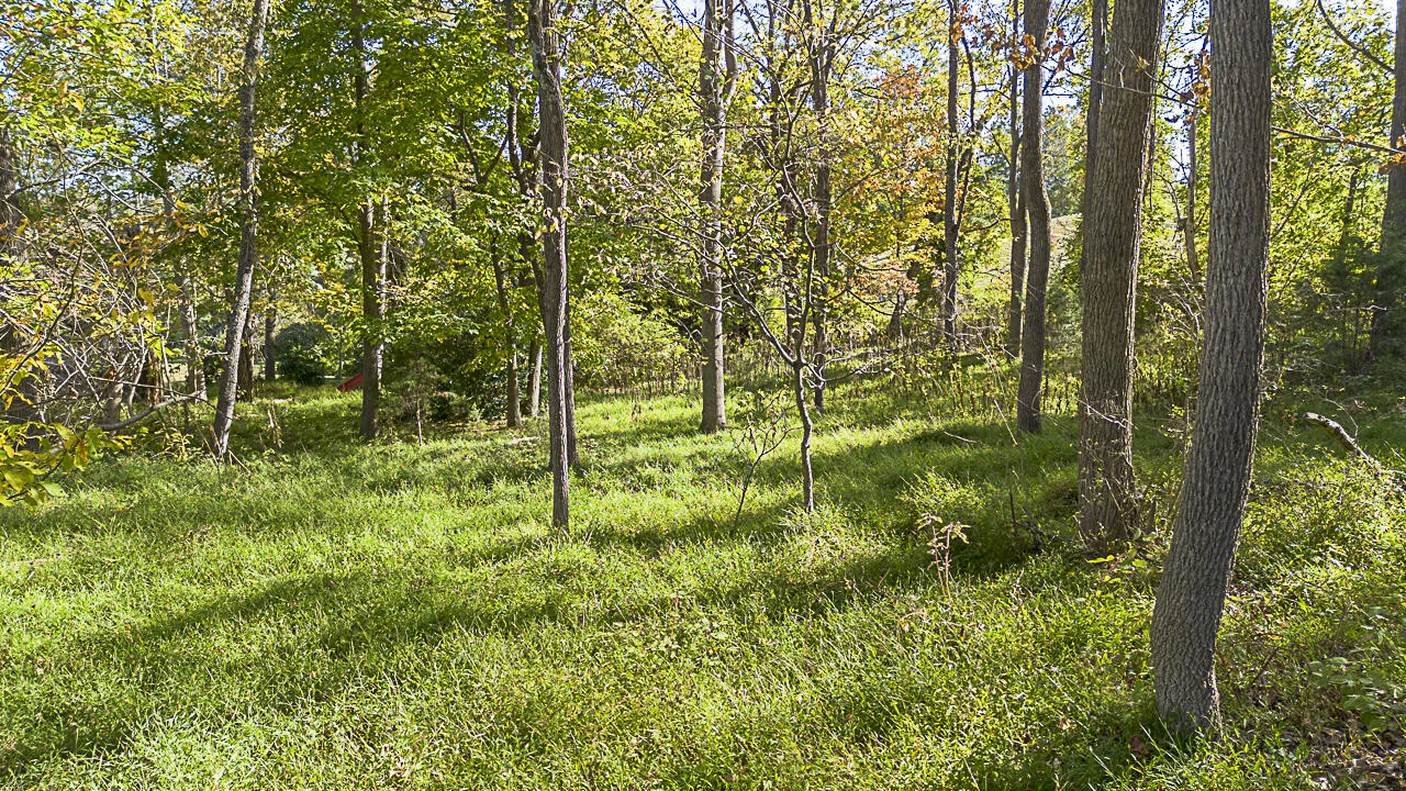 TBD Overlook Cir - Photo 4