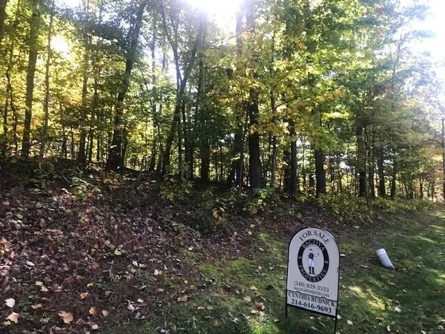 DR #55 North Forest Trl, Hot Springs, VA, 24445