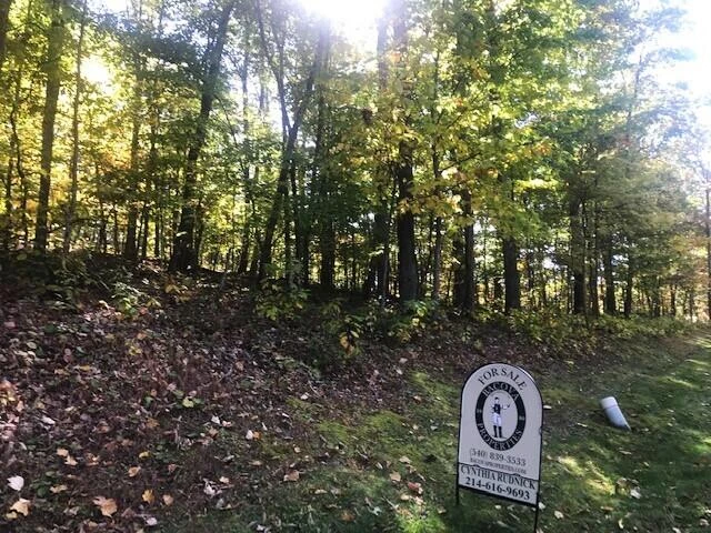 DR #55 North Forest Trl