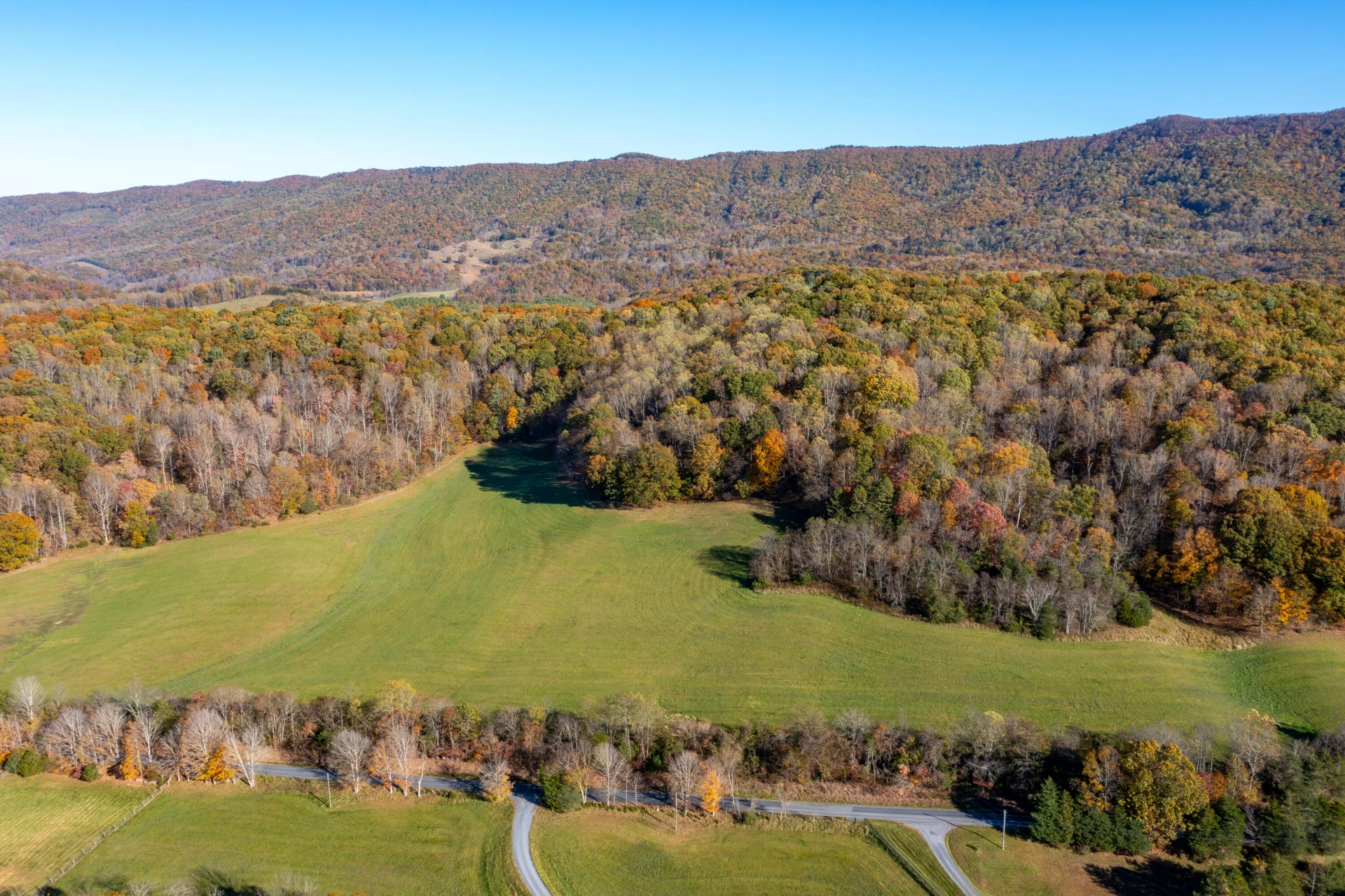 TBD Springbranch Rd - Photo 3