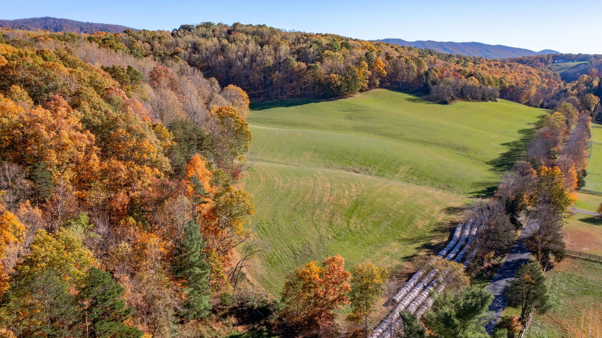TBD Springbranch Rd - Photo 4