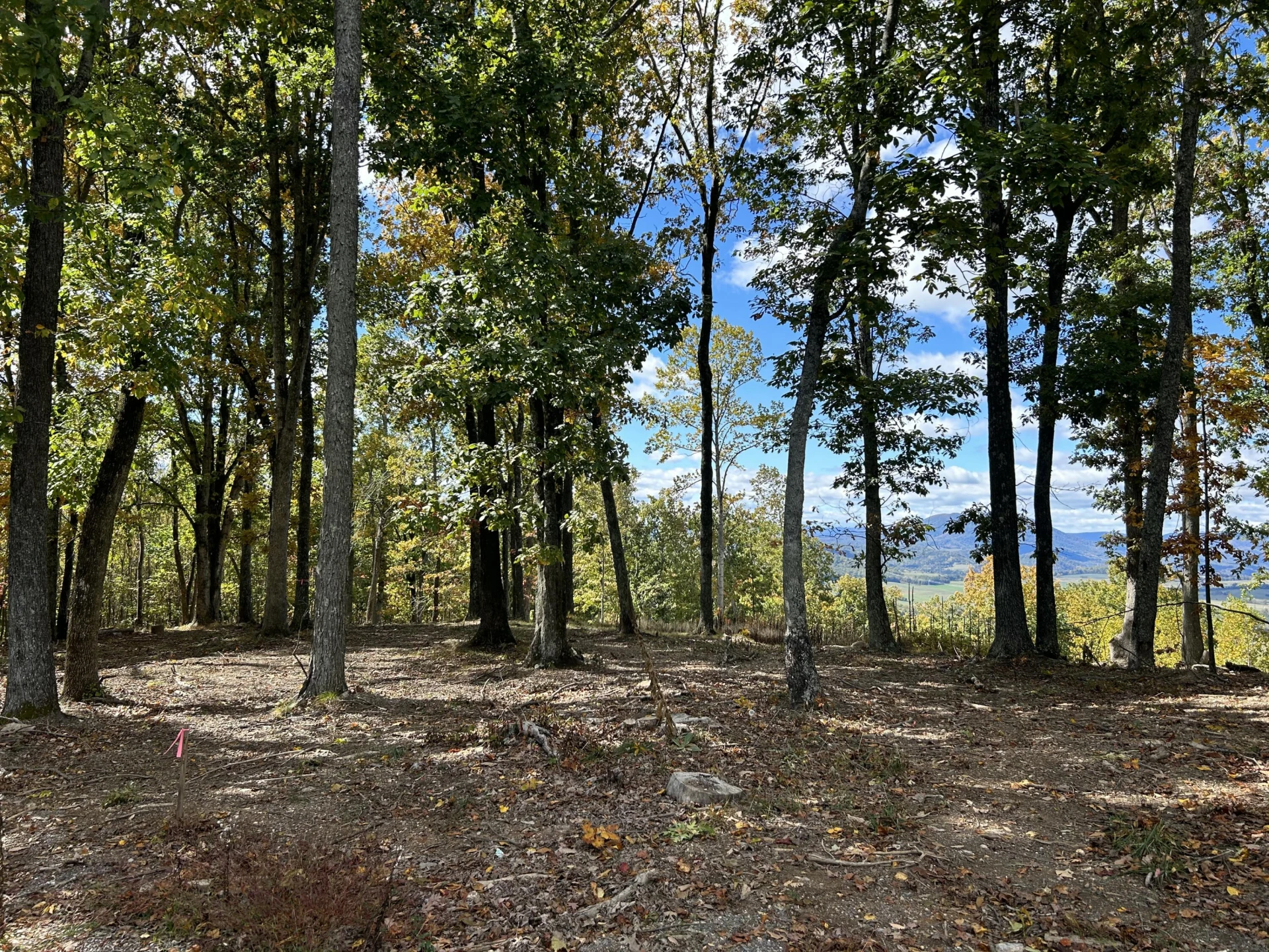 Lot 7 - Ridgeline Way - Photo 2