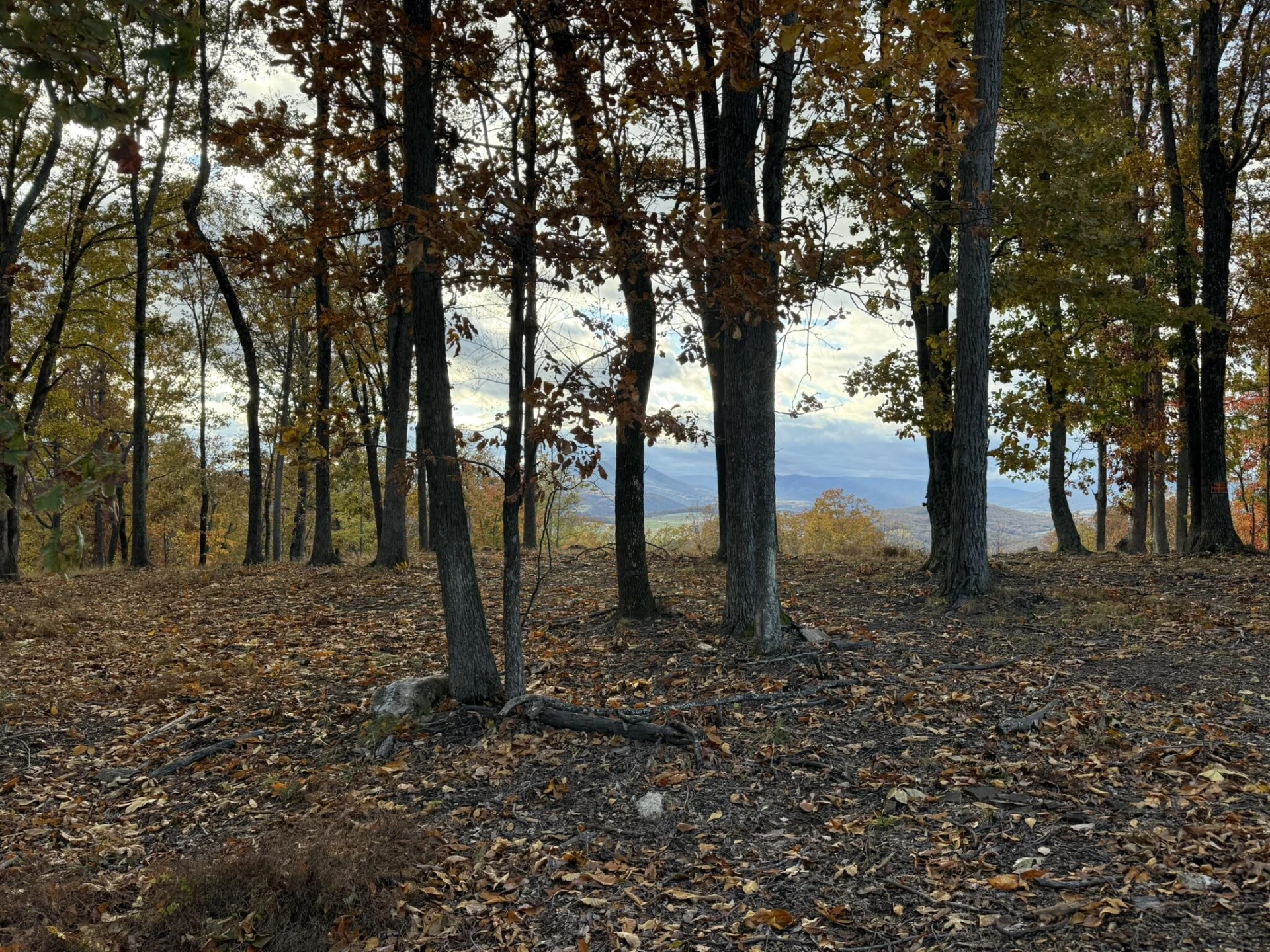 Lot 7 - Ridgeline Way - Photo 3