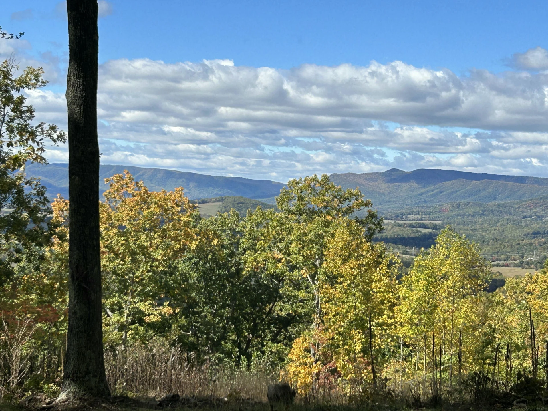 Lot 7 - Ridgeline Way - Photo 5