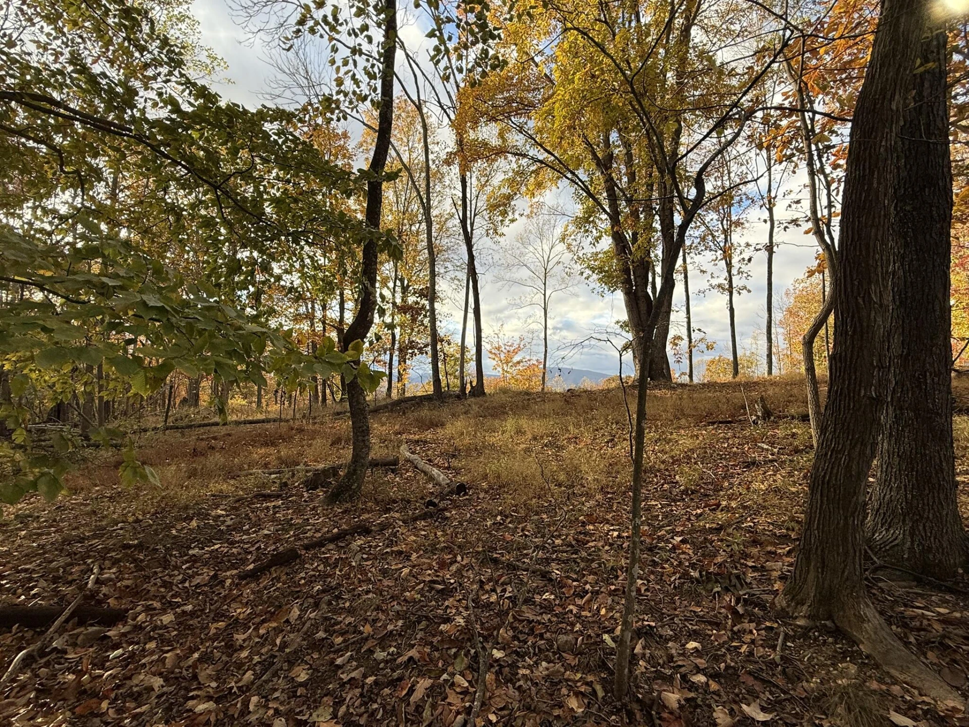Lot 7 - Ridgeline Way - Photo 6