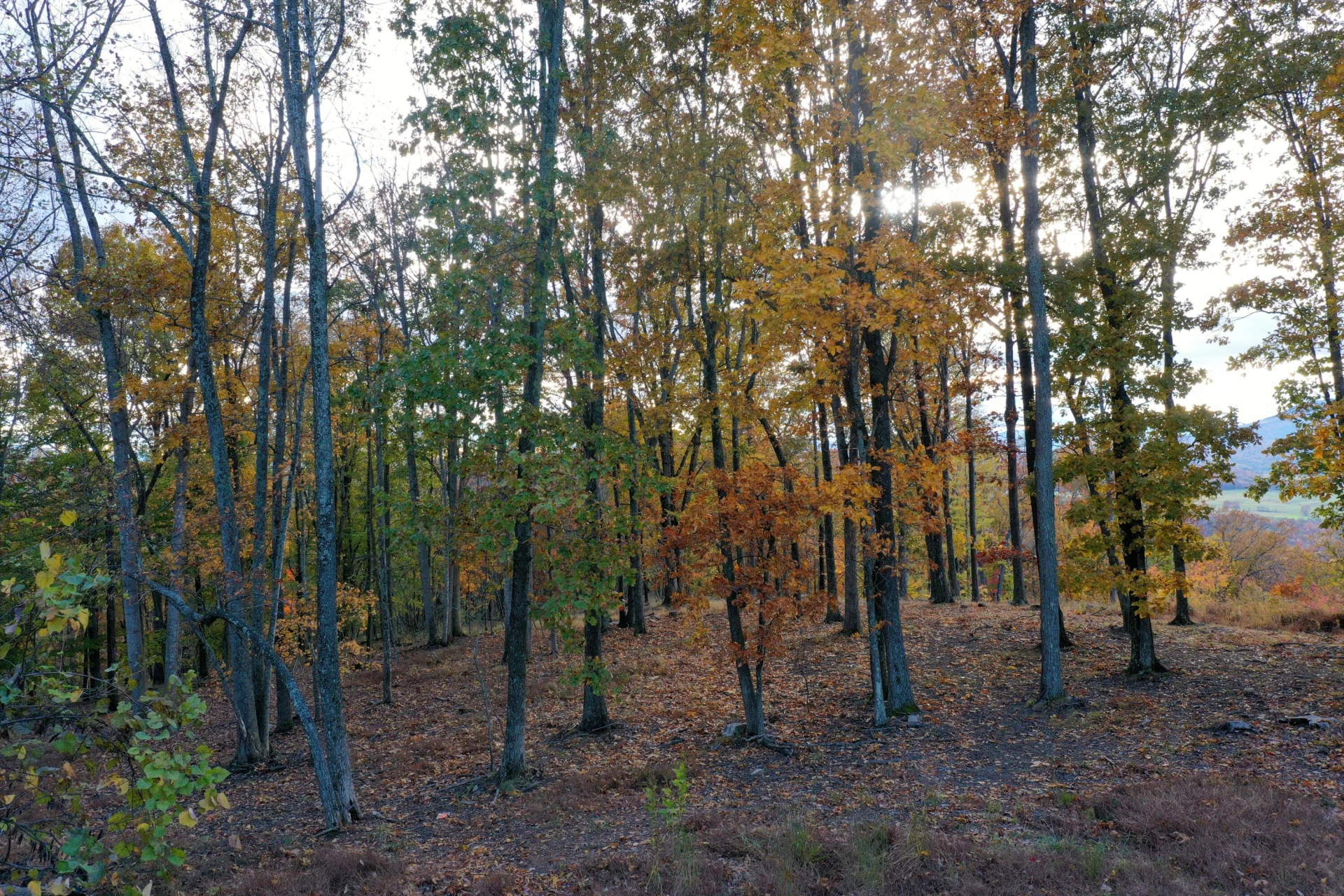 Lot 7 - Ridgeline Way - Photo 7