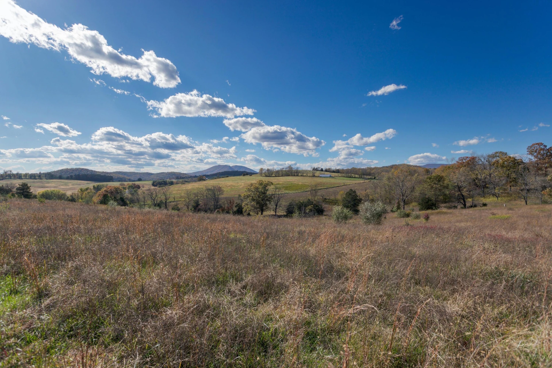 1111 Bethany Rd - Photo 36