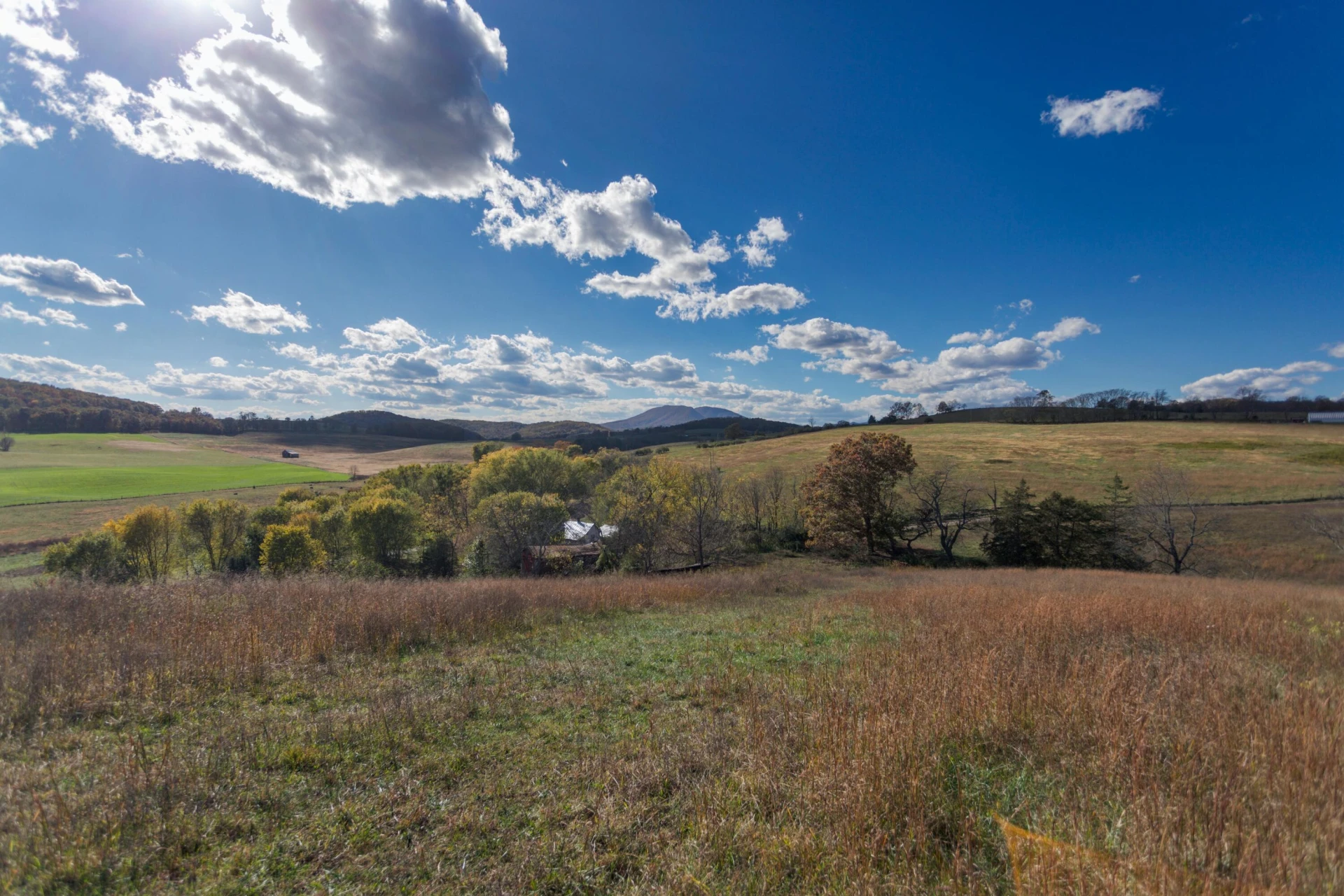 1111 Bethany Rd - Photo 40