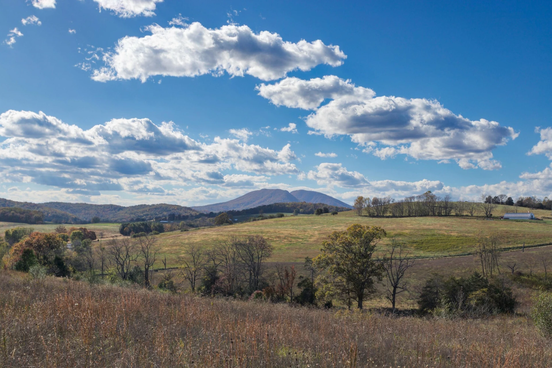 1111 Bethany Rd - Photo 41