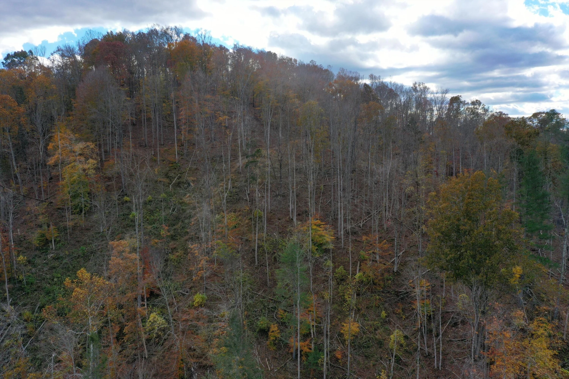 TBD Salt Petre Cave Rd - Photo 11
