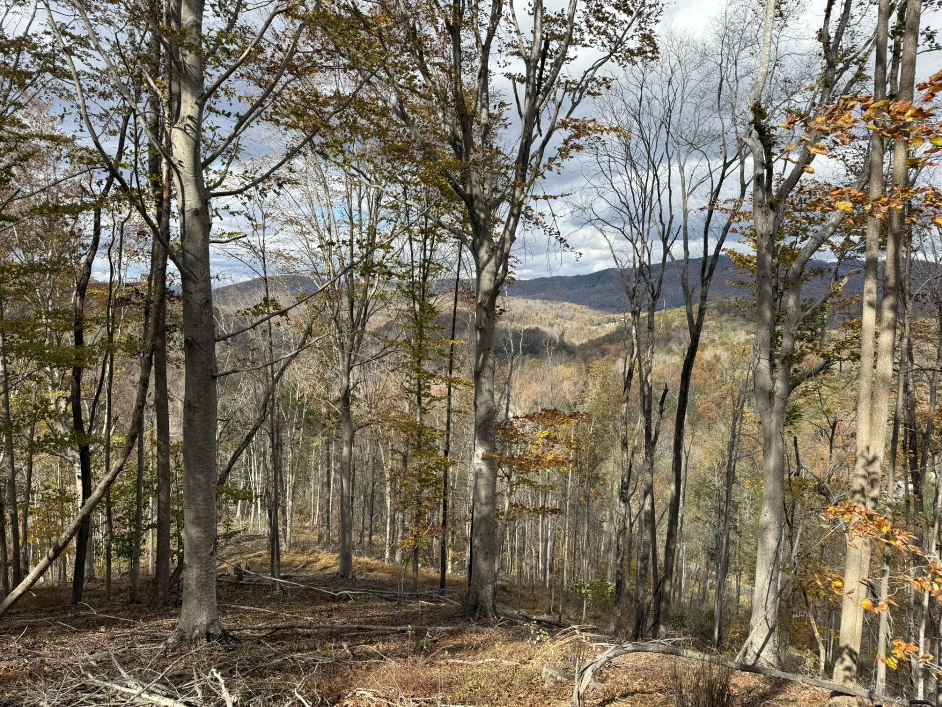 TBD Salt Petre Cave Rd - Photo 3