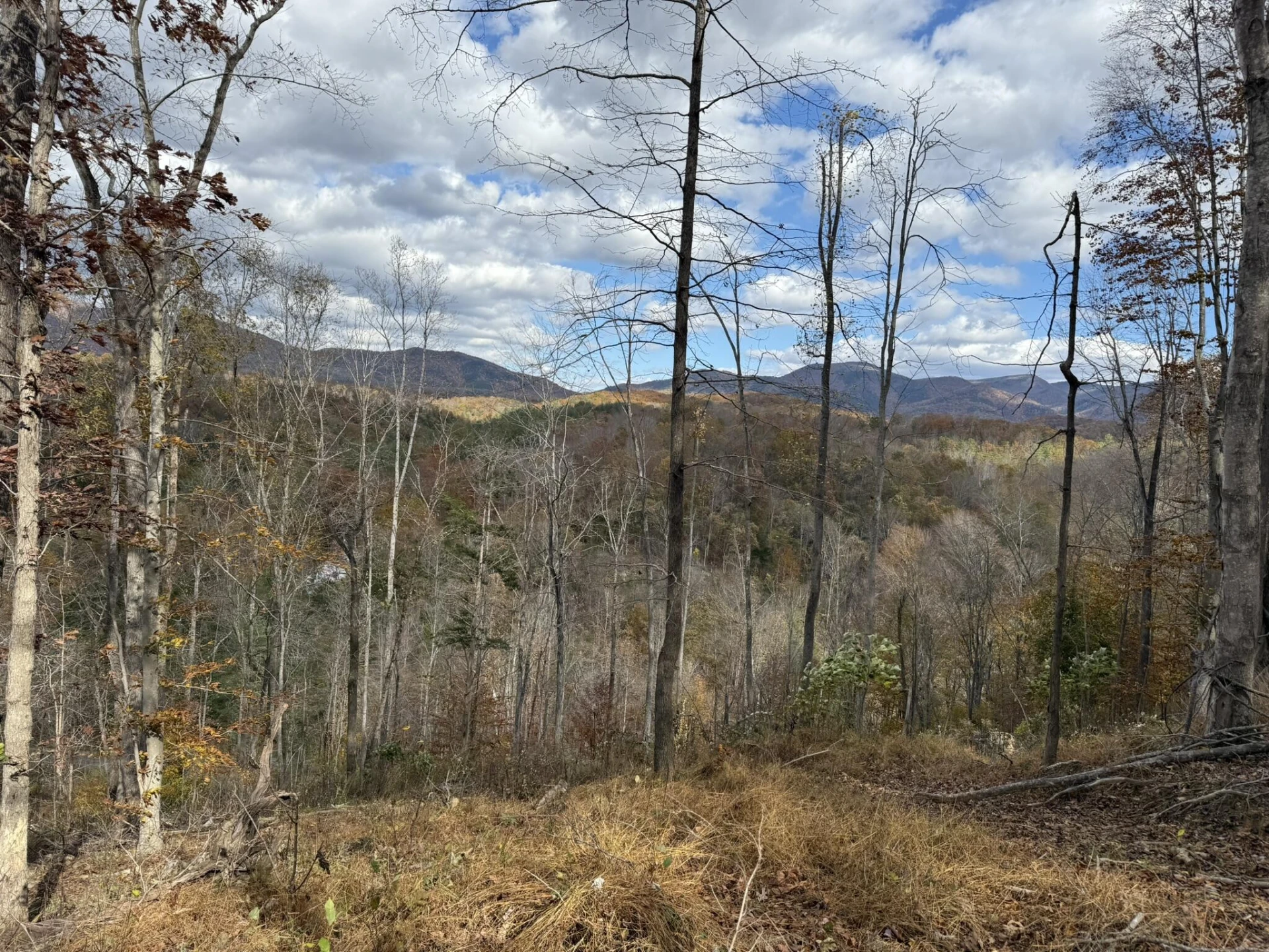 TBD Salt Petre Cave Rd - Photo 4