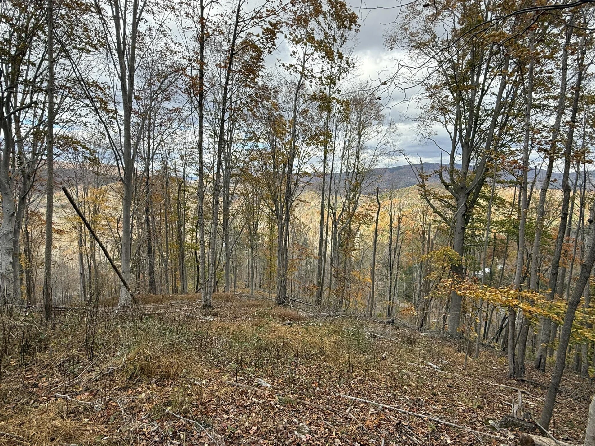 TBD Salt Petre Cave Rd - Photo 5