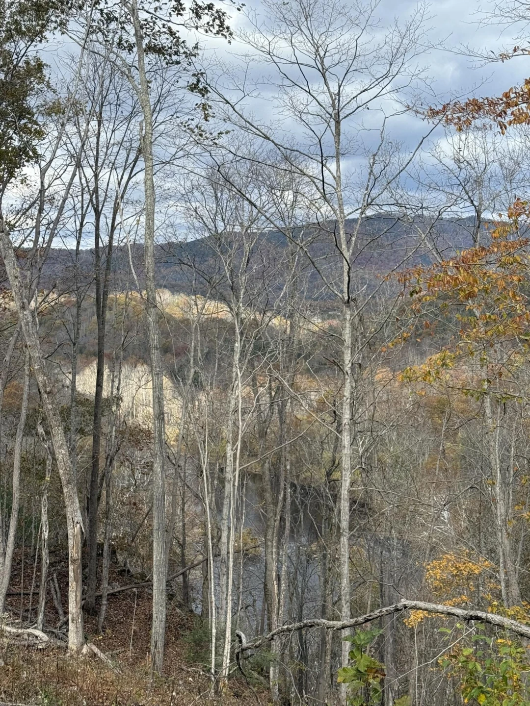 TBD Salt Petre Cave Rd - Photo 6