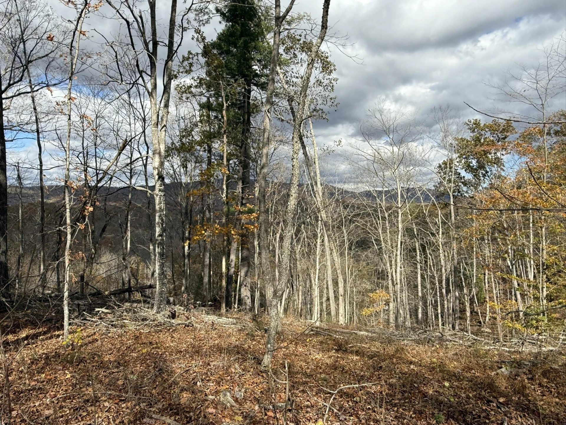 TBD Salt Petre Cave Rd - Photo 7