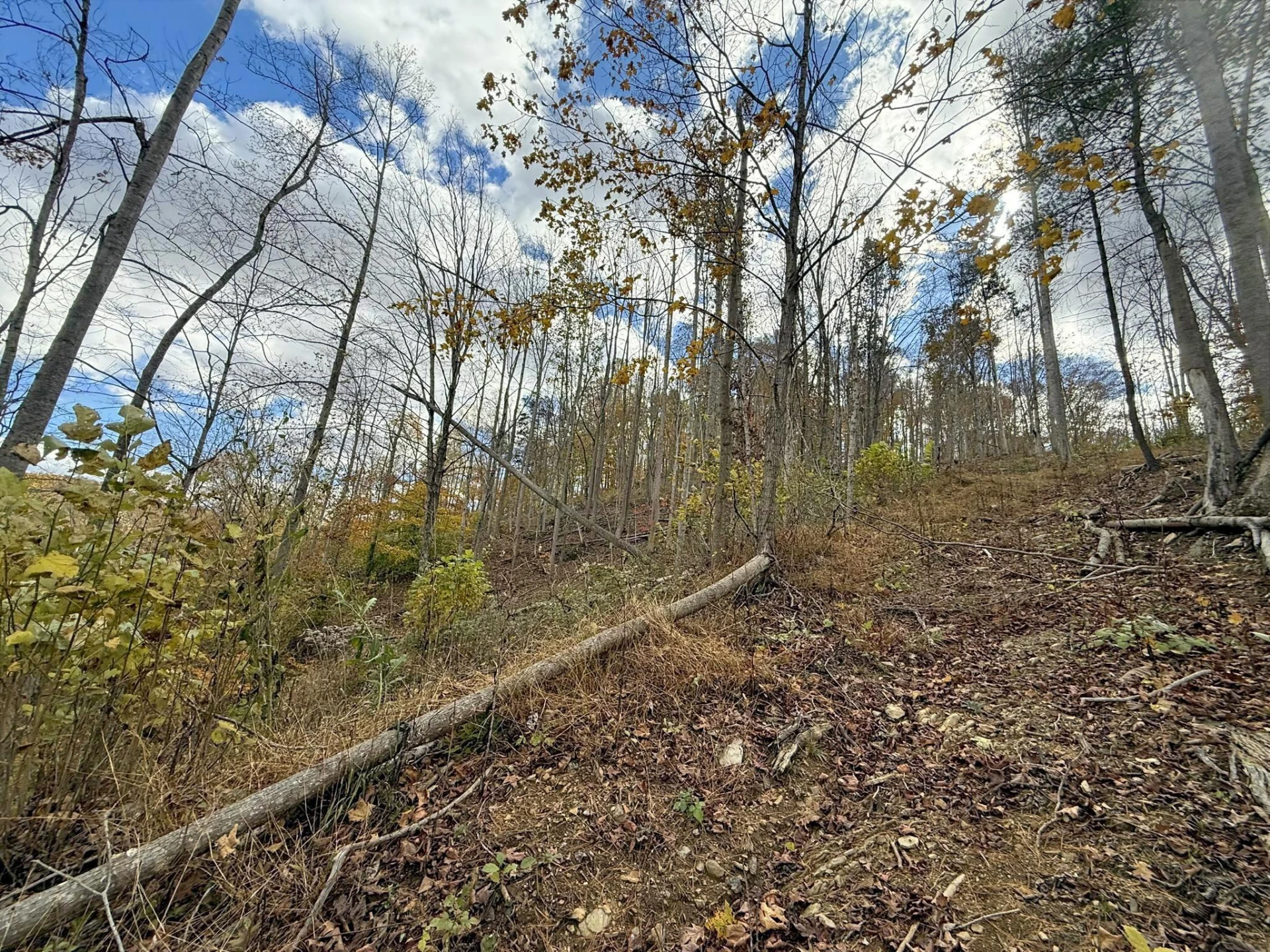 TBD Salt Petre Cave Rd - Photo 8